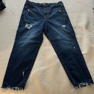 American Eagle next level stretch size 12 short